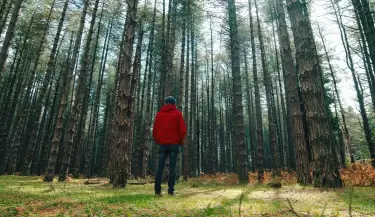 ba�o de bosque