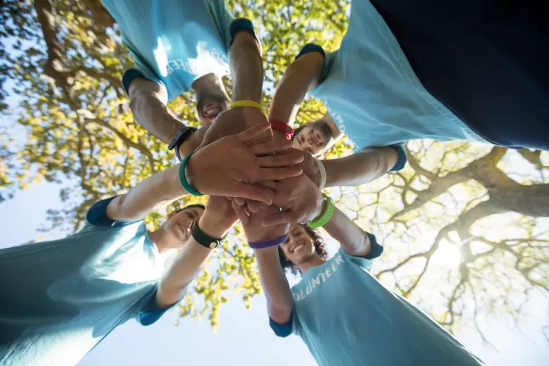 trabajo en equipo