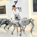 China sorprendió con robots humanoides y cuadrúpedos a prueba de explosiones