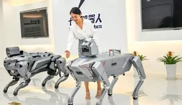perros robots