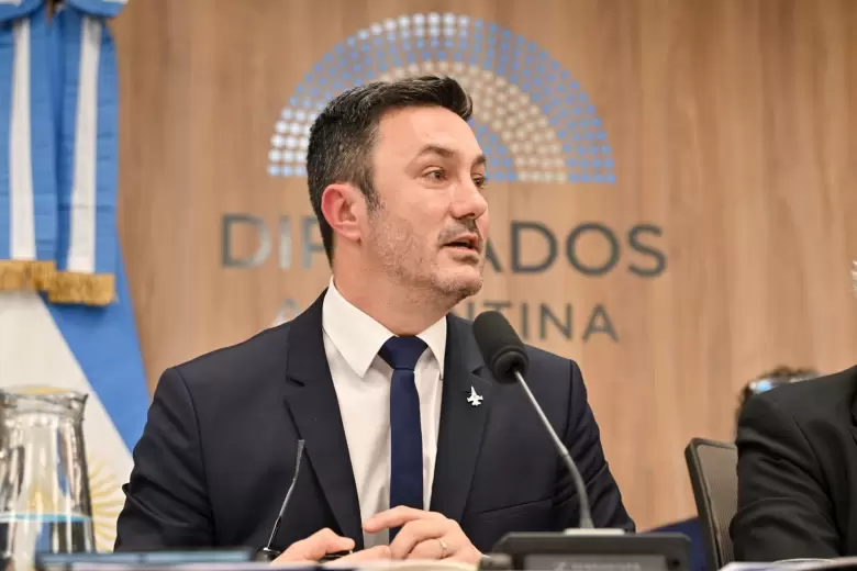 luis petri