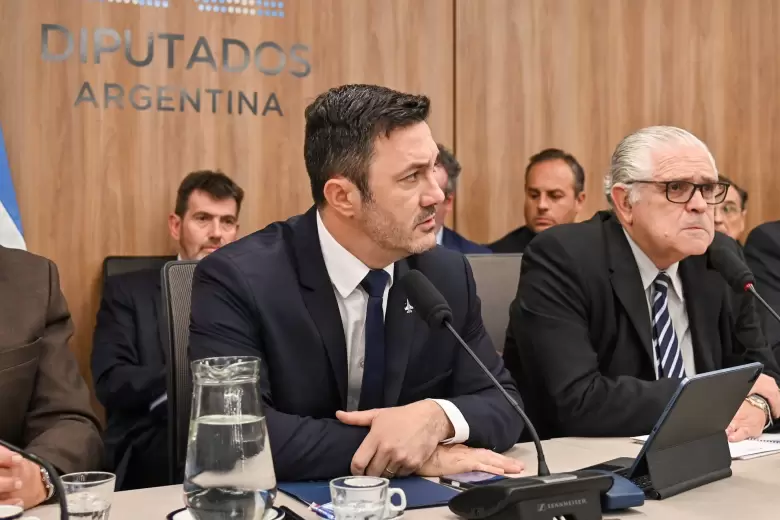 luis petri