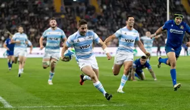 los pumas