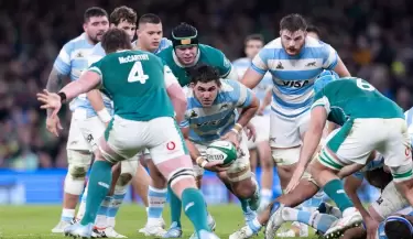 los pumas