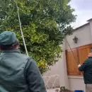 C�mo la cosecha de c�tricos en invierno fortalece el control de plagas en Mendoza