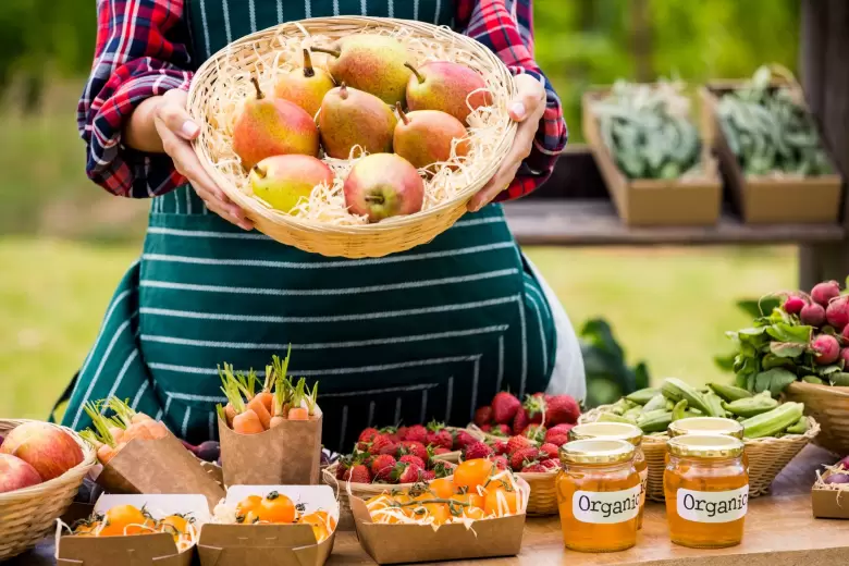 gastronomia sostenible