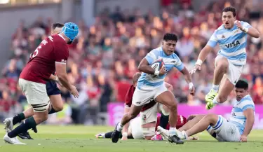 los pumas