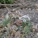 El día que encontré al muñeco fantasma y sobre lo que sucedió después