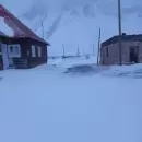 Madrugada decisiva: autoridades definirán si se habilita el cruce a Chile