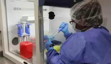 investigaci�n