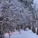 Domingo polar, nieve en el llano y temperaturas bajo cero por varios d�as