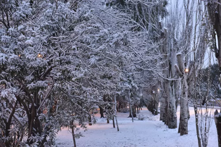 Fr�o en Mendoza