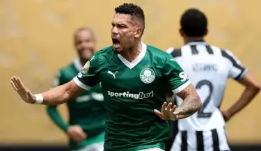 palmeiras botafogo