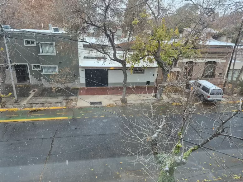 nieve