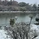 (Videos) La hist�rica nevada en Mendoza que qued� grabada en miles de celulares