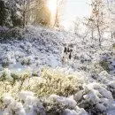 ¡Hasta 13 grados bajo cero! Las localidades más frías en este lunes congelado