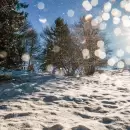 Fr�o invernal y posibles nevadas en el llano mendocino: precauciones y lo que hay que saber