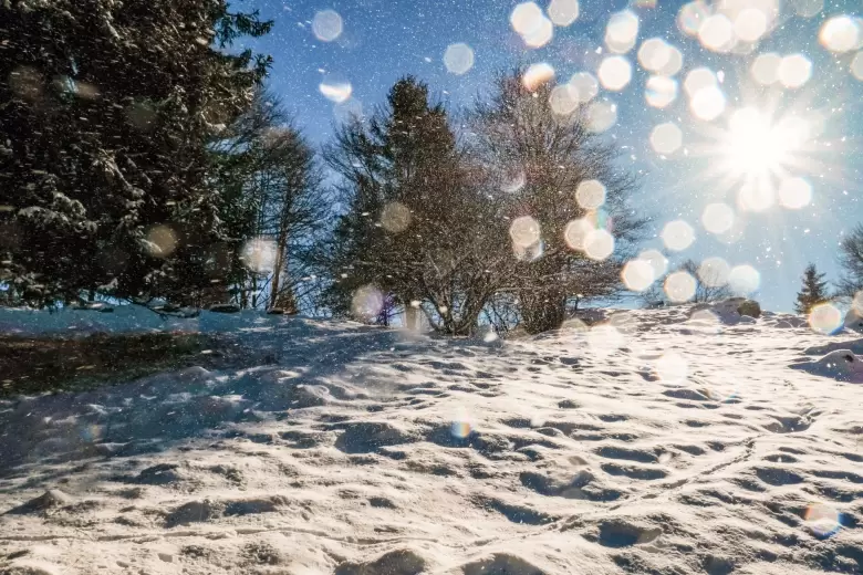 nieve