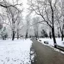 Alerta por nevadas intensas: el SMN pronosticó hasta 50 centímetros de nieve en tres provincias
