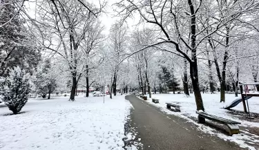 nieve