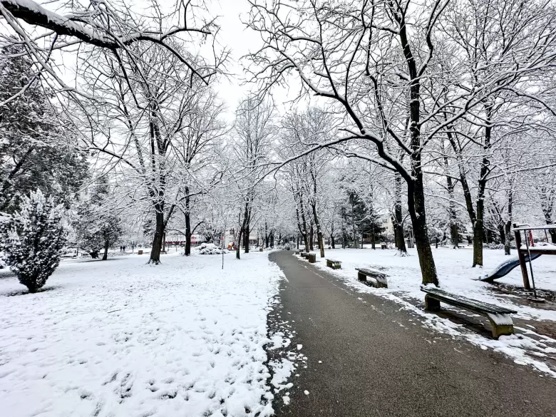 nieve