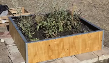 biocorredores urbanos