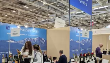 Vibexpo