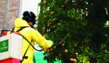 Invierno y c�tricos: por qu� la cosecha total es clave para proteger el agro mendocino