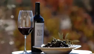 Tres d�as para disfrutar sabores y paisajes �nicos en toda Mendoza