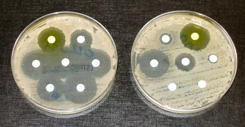 Superbacterias