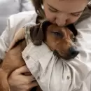 Luján de Cuyo lanzó “Patitas a Casa”, un blog para fomentar la adopción responsable de animales