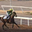 (Video) Code Breaker voló en el Hipódromo y se llevó otra vez el clásico Patrono Santiago