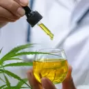 El primer Diplomado en Cannabis de la UNCuyo finalizó con más de 50 graduados