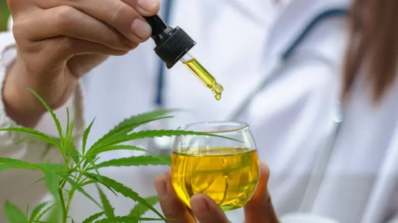 Aceite cannabis