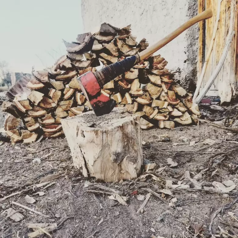 Le�a, hogar y los recuerdos