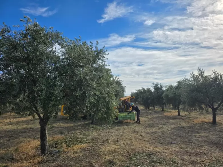 Inversión extranjera