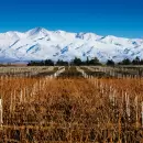 La montaña mendocina, cine y vino se unirán en una experiencia única