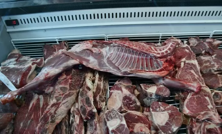 Carne ovina