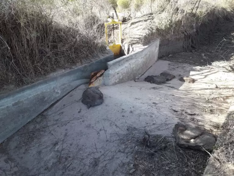 sistema de riego del Canal Ser� Civit