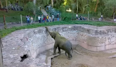 ex zoologico de mendoza