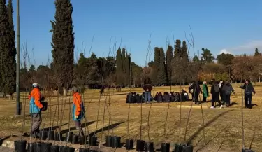 D�a del �rbol
