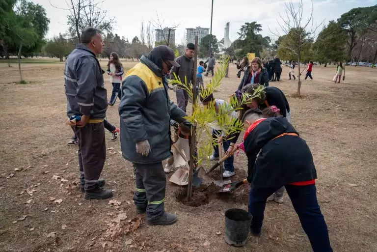 Día del árbol