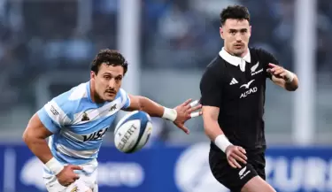 los pumas