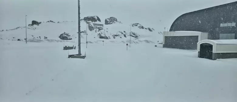 nieve