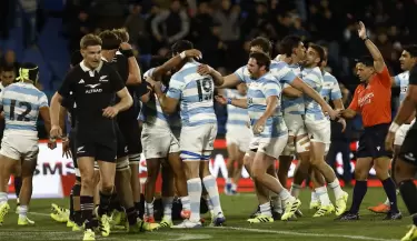 los pumas