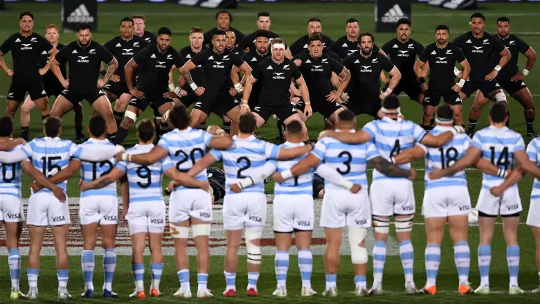 pumas