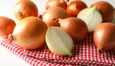 cebolla