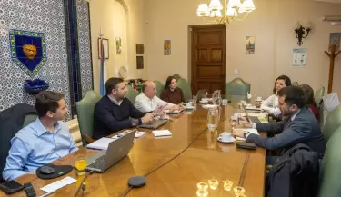 energ�a cornejo