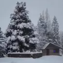 Potrerillos se tiñó de blanco: la nieve llegó con fuerza y Uspallata sigue aislado