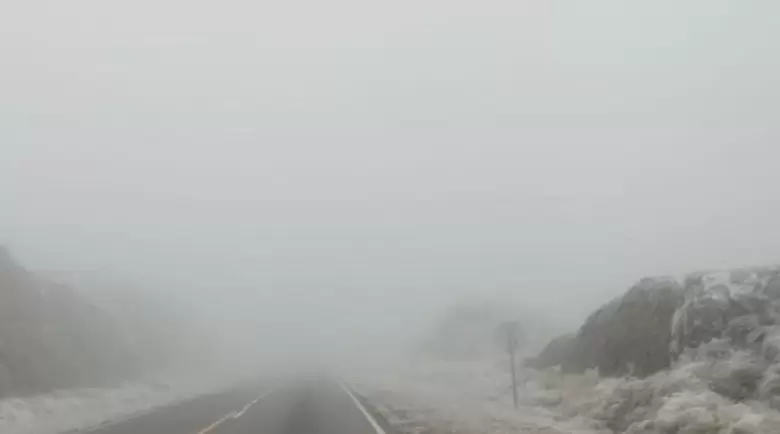 Temporal agua de las avispas